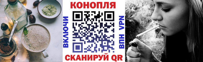купить  цена  Опочка  Canna-Cookies конопля 