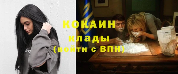 крисы Абаза
