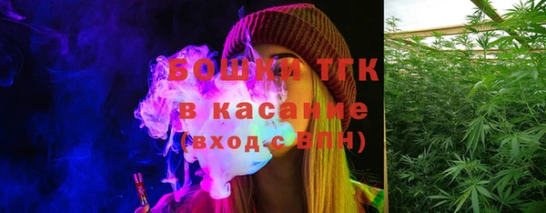 крисы Абаза