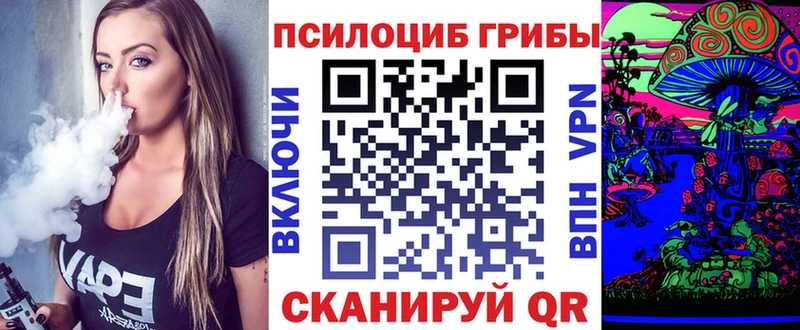 Псилоцибиновые грибы Psilocybe  ссылка на мегу ссылки  Опочка 
